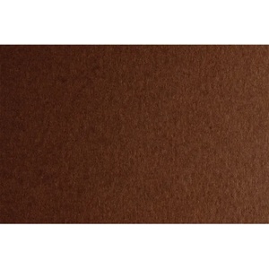 Fabriano Картон Colore, 50 x 70 cm, 200 g/m2, № 226, кафяв (42303226/2_MARRONE)