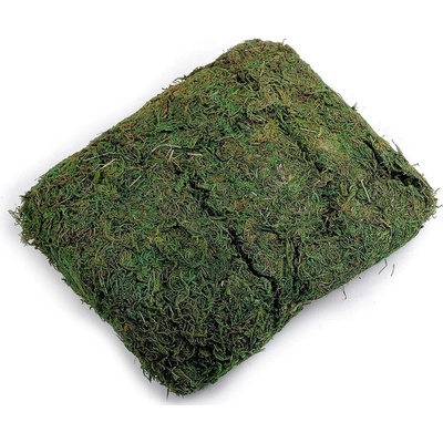 Dekorační přírodní mech 250 g - zelená