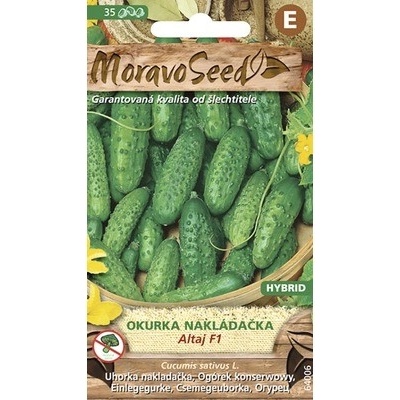 Uhorka nakladačka hruboostná ALTAJ F1 MoravoSeed