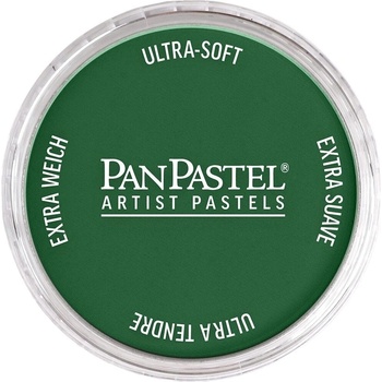 PanPastel Artists’ Сух пастел 640.1 Permanent Green Extra Dark 1 бр (8026401-1)