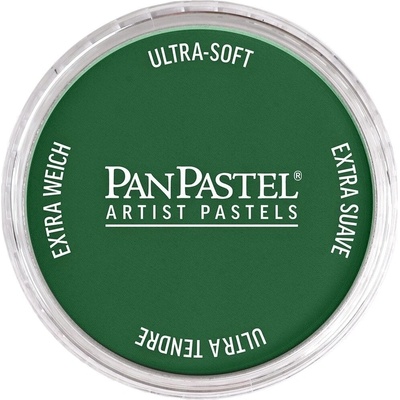 PanPastel Artists’ Сух пастел 640.1 Permanent Green Extra Dark 1 бр (8026401-1)