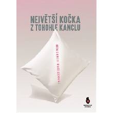 Největší kočka z tohohle kanclu - Michaela Kašičková