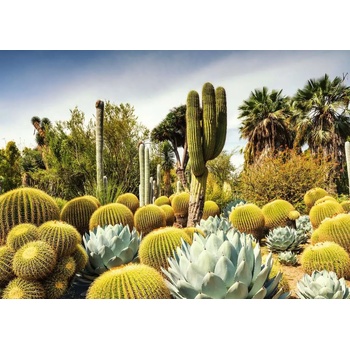 Ravensburger - Puzzle Beautiful Gardens: Huntington Garden, USA - 1 000 piese