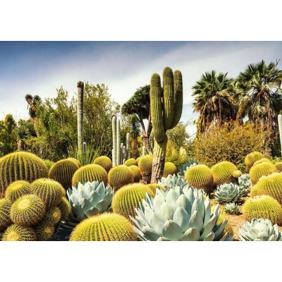 Ravensburger - Puzzle Beautiful Gardens: Huntington Garden, USA - 1 000 piese