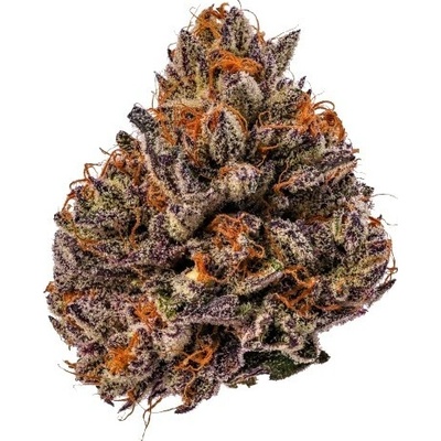Growers Choice Tropicana Cherry Triploid F1 semena neobsahují THC 10 ks