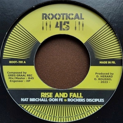 Nat Birchall & The Rockers Disciples & Don Fe & Rootikal 45 - Rise And Fall LP