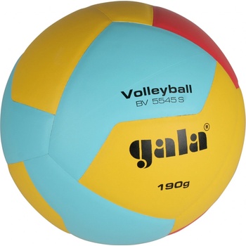 Gala Volleyball 10 BV 5541 S