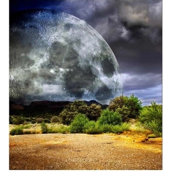 DIMEX ART s. r. o Флизелинов фототапет луна 225 x 250 см
