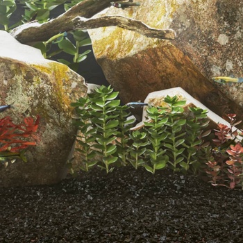 vidaXL Пясък за аквариум 10 кг черен 0, 2-2 мм (3217156)