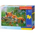 Castorland Puzzle 100 pieces Foxy Dreams