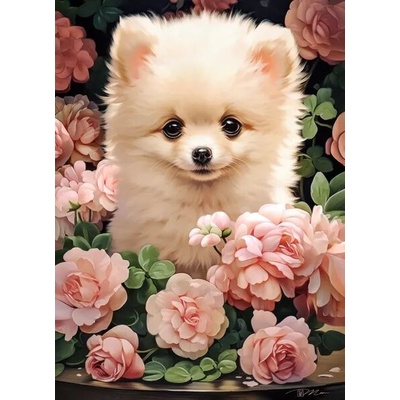 Castorland Štěně pomeraniana mezi růžemi 300 dílků