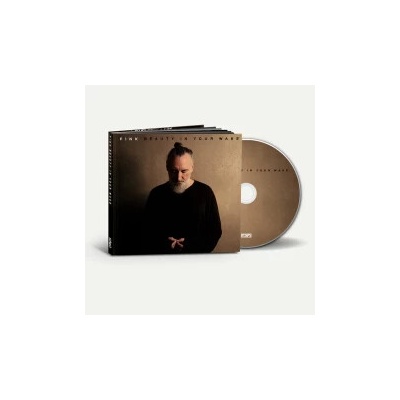 Fink - Beauty In Your Wake / Deluxe Edition CD