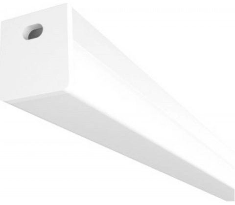 Rendl R14089