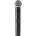 Shure MXW2X/BETA58