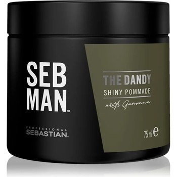 Sebastian Professional SEB MAN The Dandy помада за коса за естествена фиксация 75ml