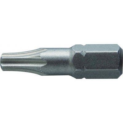 Högert TORX T10 25 mm 2ks HT1S361