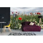 DIMEX ART Самозалепваща се флизелинова фототапета цъфтяща лятна поляна 375 x 250 см