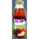 Dětské šťávy HiPP BIO Z červených plodů ovoce 500 ml
