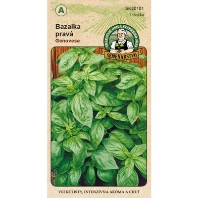 Bazalka pravá Genovese