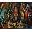 Dungeons & Dragons: Enhanced Classics Bundle