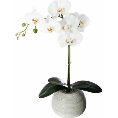 Atmosphera Květinová výzdoba Cement touch - orchidej s keramickým květináčem, výška 50 cm