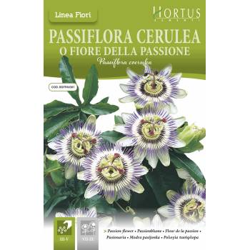 Hortus Синя Пасифлора Passiflora Cerulea
