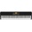 KORG XE20