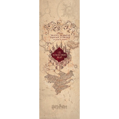 Plagát, Obraz - Harry Potter - The Marauder's Map, 53 × 158 cm