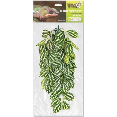 GiganTerra Závěsná rostlina Pilea 45 cm