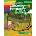 Cambridge Primary Path 2nd Edition 2