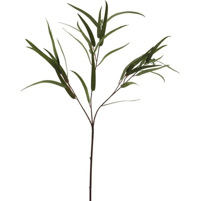 Blahovičník - Eukalyptus zrno (spray) zelený V81 cm