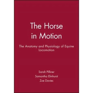 Horse in Motion (2002)