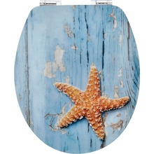 Poseido Ostsee 23012428