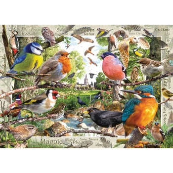 Ravensburger - Puzzle Our Feathered Friends - 1 000 piese