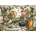 Ravensburger - Puzzle Our Feathered Friends - 1 000 piese