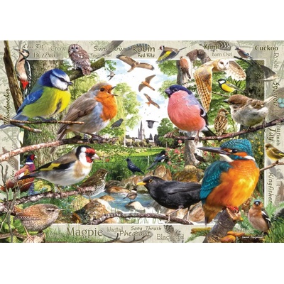 Ravensburger - Puzzle Our Feathered Friends - 1 000 piese