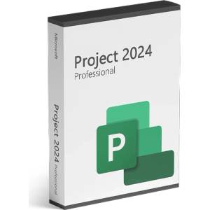 Microsoft Project Professional 2024 BIND