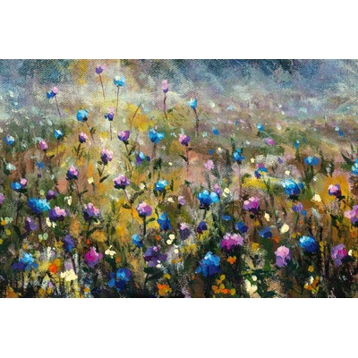 DIMEX ART Флизелинов фототапет картина - лятно поле 375 x 250 см