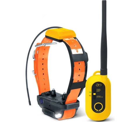 Dogtra Pathfinder 2