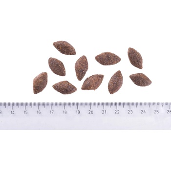 Brit Care Sustainable Activity Chicken & Insect 1 kg