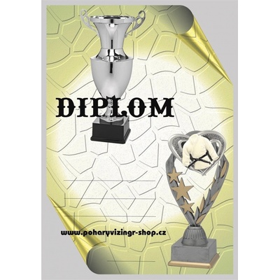 VIZINGR Judo diplom A4 č.7
