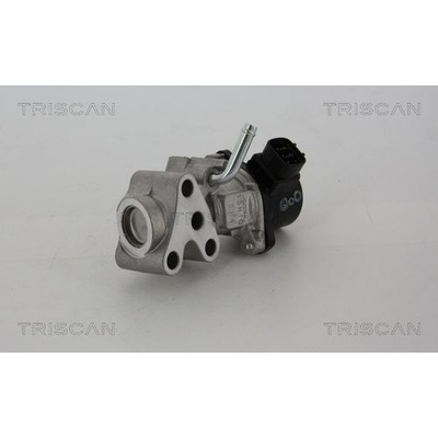 AGR - Ventil TRISCAN 8813 13028