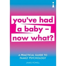 A Practical Guide to Family Psychology