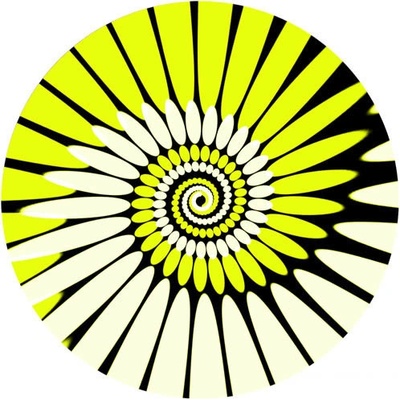 ZOMO Slipmat Paint yellow – Zboží Mobilmania