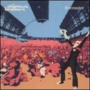 CHEMICAL BROTHERS: SURRENDER CD