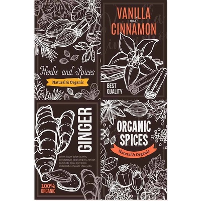 Ceduľa Herbs & Spices Ginger