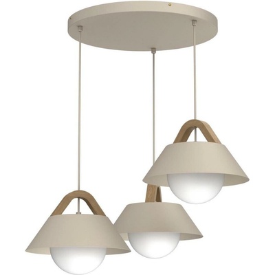 Luminex 4205