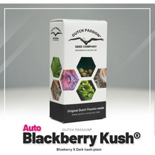 Dutch Passion Auto Blackberry Kush semena neobsahují THC 3 ks