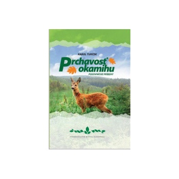 Prchavosť okamihu