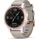 GARMIN D2 Delta S